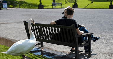 片思いの好きな人を諦める方法とは 新しい出会いのために乗り越えよう